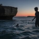 Tragédie à Sydney : Enfant de 12 Ans Meurt Après Attaque de Requin