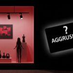 Vendeur Poupées Sexuelles Dénonce Amalgame Injuste