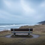 Affaire Maddie : Principal Suspect Relogé en Allemagne