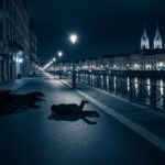 Agression Mortelle à Lyon : le Drame de Quentin