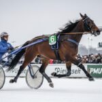 Arrivée Quinté Vincennes 19 Février 2026 : Victoire Goodmorning Charly