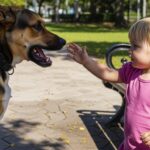 Attaque de Chien sur une Fillette d&rsquo;Un An à Miami : Le Récit Choquant