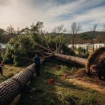 Camping Ravagé par la Tempête : 80 Arbres Tombés à Salses, l’Entraide Sauve la Saison