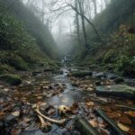 Côtes-d’Armor : Ossements Susceptibles d’Être Ceux de Marylène Thomas