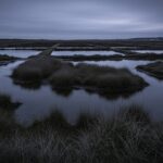 Disparition Tragique de Maddy, 18 Ans : Corps Retrouvé à Frontignan