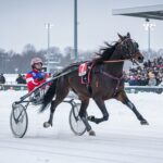 Éric Raffin Triomphe avec He And Me au Prix de Paris 2026