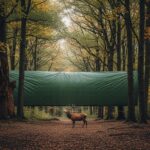 Forêt de Dreux : La Bâche Géante Divise sur la Chasse à Courre