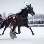 Global Concept Triple la Mise au Quinté de Vincennes