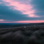 Hurlevent 2026 : Critique de l’adaptation Emerald Fennell