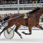 Iroise de la Noé Triomphe Prix de France 2026