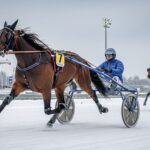Jaifa de l’Iton Triomphe dans le Quinté de Vincennes