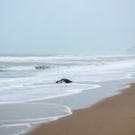 Jeune de 19 Ans Retrouvé Mort sur une Plage du Havre