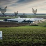 Poulailler XXL à Sarry : l&rsquo;autorisation qui divise la Marne