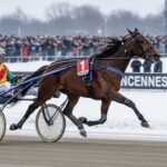 Prix Comte Pierre de Montesson : Nocive du Choquel Triomphe