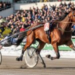 Prix de France 2026 : Iroise de la Noé Triomphe à Vincennes
