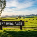 Quatre Filles Nommées Mary : Une Tradition Touchante