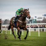 Quinté 2 Février 2026 Cagnes-sur-Mer : Grecian Comet Gagne