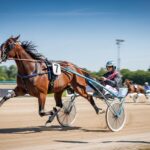 Quinté+ Cagnes-sur-Mer : Indus Val S&rsquo;Impose en Force