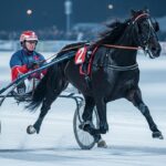 Quinté Prix de France 2026 : Josh Power et Thomain en quête de revanche