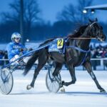 Quinté Vincennes 16 Février 2026 : Damien Bonne vise la Gloire