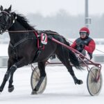 Quinté Vincennes 1er février 2026 : Jean Balthazar vise le Groupe I