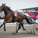 Quinté+ Vincennes 3 Février 2026 : Diva del Ronco Triomphe