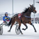 Quinté Vincennes 31 Janvier 2026 : Corentin Hérivaux et Kunamatata