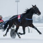 Quinté Vincennes 5 Février 2026 : Desaunette et Die Hard en Force