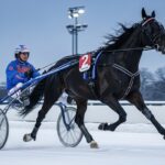 Robin Lamy et Jacomo Bello : l&rsquo;ascension dans le Quinté Vincennes