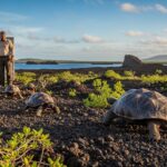 Tortues Géantes de Floreana Reviennent aux Galápagos Après Plus d’un Siècle