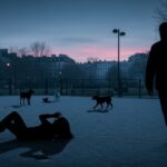 Tragédie au Caniparc : Femme de 50 Ans Meurt Après Altercation