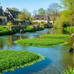 Veules-les-Roses : Le Cresson Sauvé par un Jeune Repreneur Ambitieux