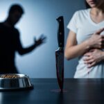 Violences Conjugales : Quand la Garde d’un Chat Tourne au Drame