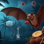Virus Nipah : 3 Cas en Inde et Bangladesh en 2026