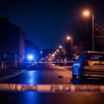 22 Ans de Prison pour l&rsquo;Assassinat d&rsquo;Elvis à Savigny-le-Temple