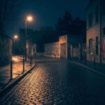 Condamnation à 14 Ans : La Vengeance Tragique d’un Frère en Essonne