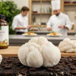 La folle ascension des champignons médicinaux en France