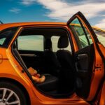 Mère Condamnée à 15 Ans pour Mort d&rsquo;Enfant dans Voiture Chaude