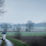 Météo Week-end : Averses, Ciel Voilé et Fraîcheur