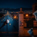 Nice : Plainte après l&rsquo;affaire de la tête de porc