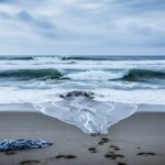 Noyade en Vendée : Un Père en Quête de Justice Après la Mort de sa Fille