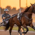 Quinté Amiens : L&rsquo;Idylle Antonin André et Hadès l’Iton