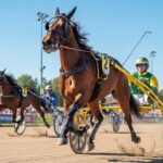 Quinté+ Caen 2 Mars 2026 : Koala Blue Triomphe