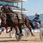 Quinté Cagnes 26 Février 2026 : Hedic Gema Crée la Surprise