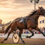 Quinté Enghien 6 Mars 2026 : Jizou d&rsquo;Etang Domine