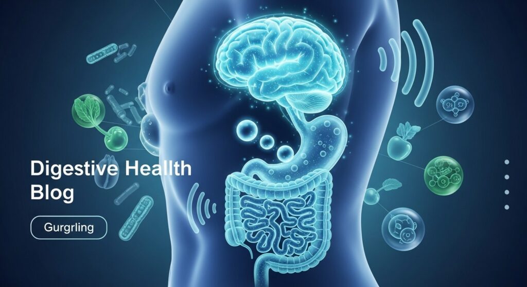 Tube Digestif : Gargouillis, Gaz et Deuxième Cerveau Expliqués