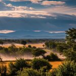 Vent d&rsquo;Autan : Le Vent Qui Rend Fou Expliqué