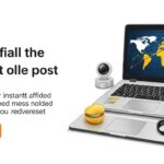 Découverte Incroyable : Cartes Pokémon Oubliées dans un Grenier Valant une Fortune