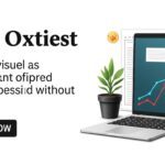 Finul au Liban : Origine, Mission et Risques des Casques Bleus