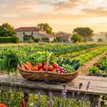 Agriculture Bio en Charente-Maritime : Le Guide Local qui Fait la Différence